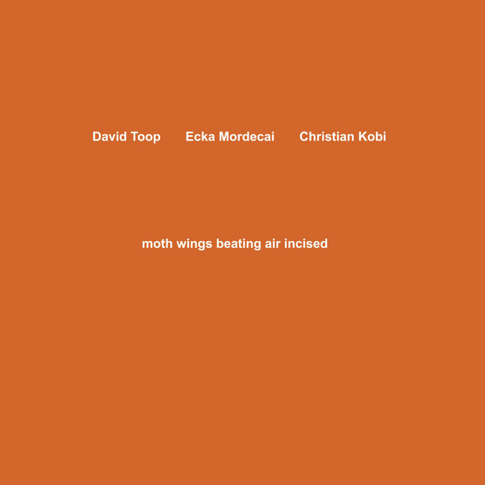 moth wings beating air incised | David Toop / Ecka Mordecai 