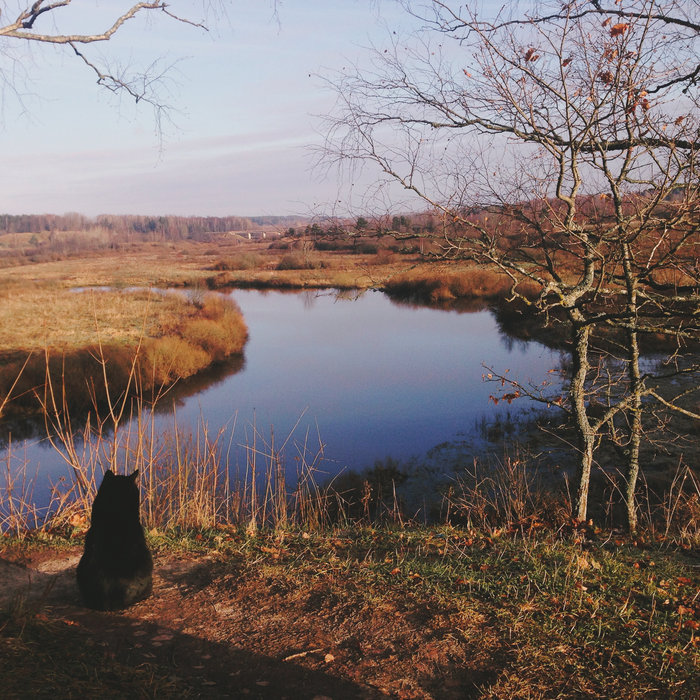 J.S.Bach Partita in D minor for solo violin (BWV 1004), Ciaccona