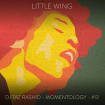 Little Wing cover art