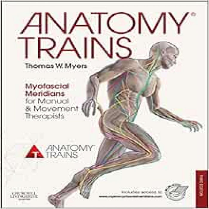 Anatomy visual data 5