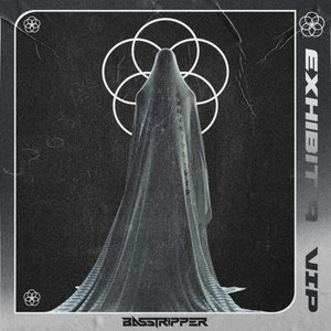 Exhibit 9 VIP cover