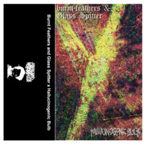 Burnt-Feathers and Glass Spitter x Hallucinogenic Bulb cover art