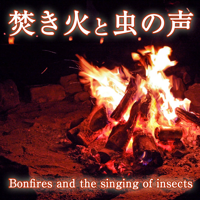 Japanese Insect Sound Bonfires and the singing of insects | Japanese Nature Sounds