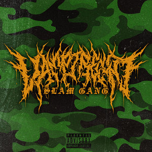 Slam Gang (TSWT Promo) cover