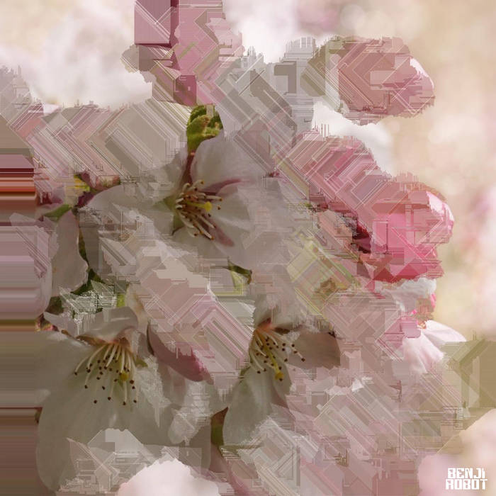 Cherry Blossom - EP | Benji Robot