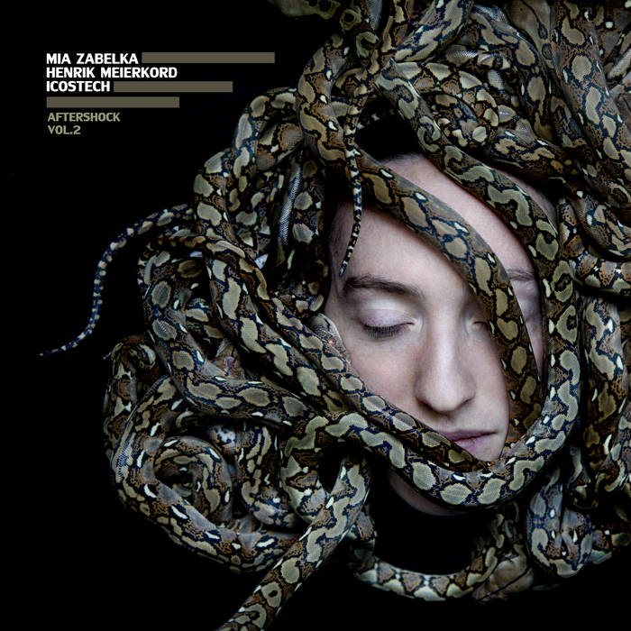 AFTERSHOCK Vol. 2
by Mia Zabelka/ Icostech/ Henrik Meierkord