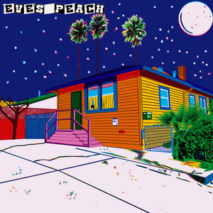 S/T cover