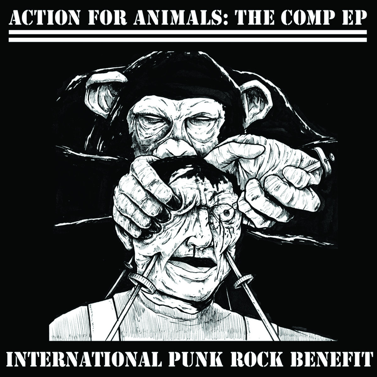 Action For Animals: The Comp EP | Above
