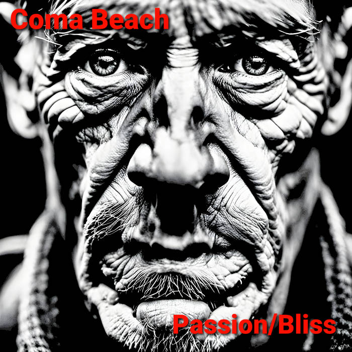 Coma Beach - Passion/Bliss album artwork