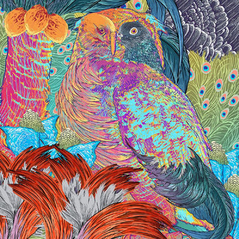 oshin | bird. | Desperate Infant Records