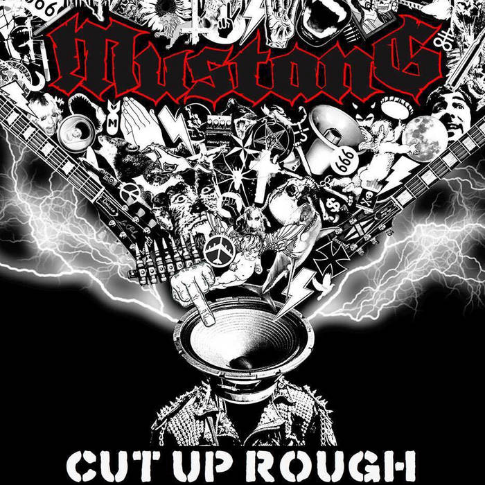 Cut Up Rough Mustang