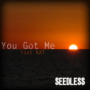 "You Got Me" feat KAT cover