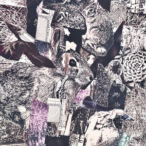 Home Now cover