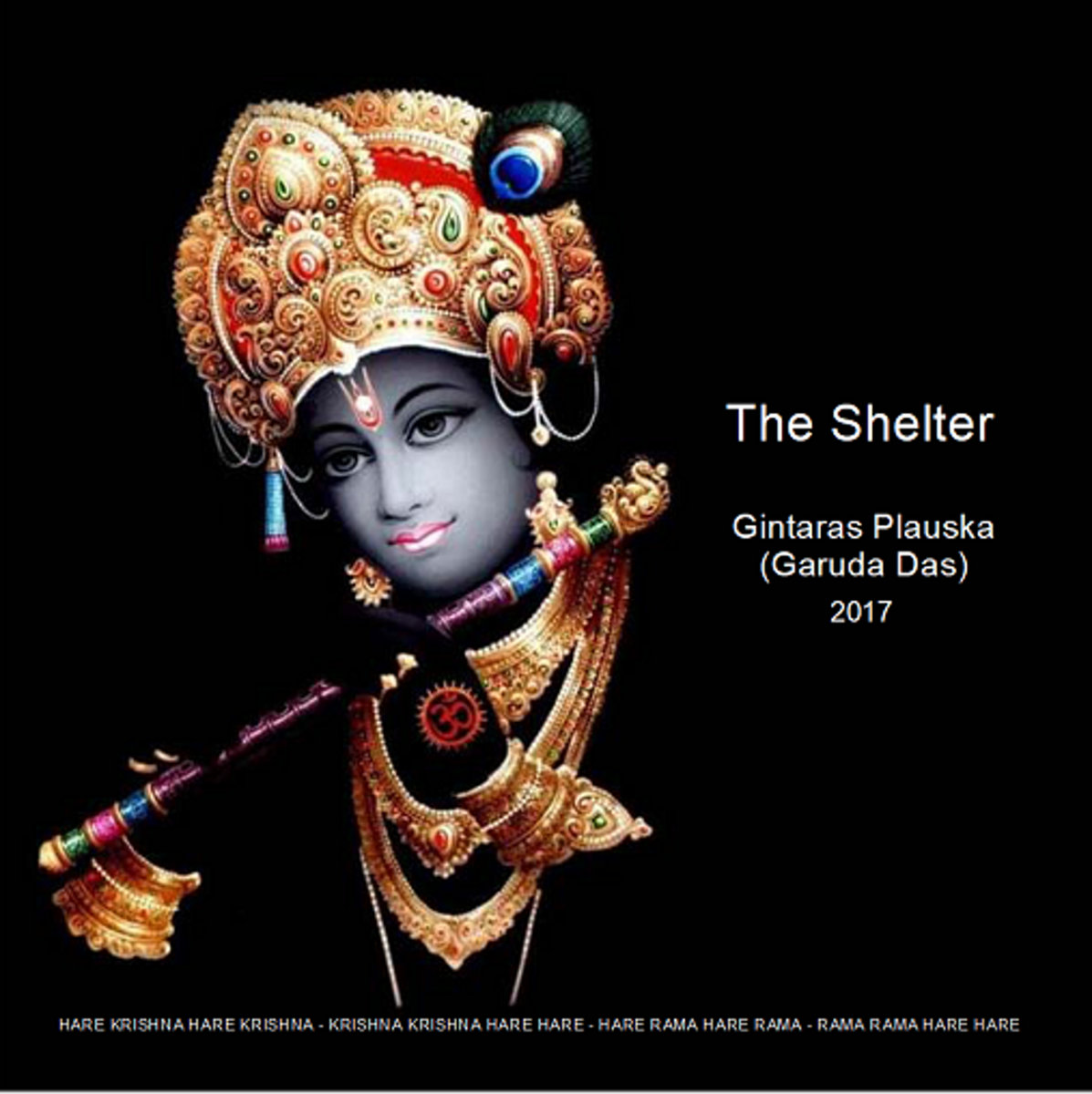 The Shelter cover
