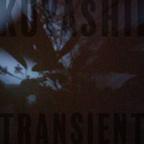 Transient cover art