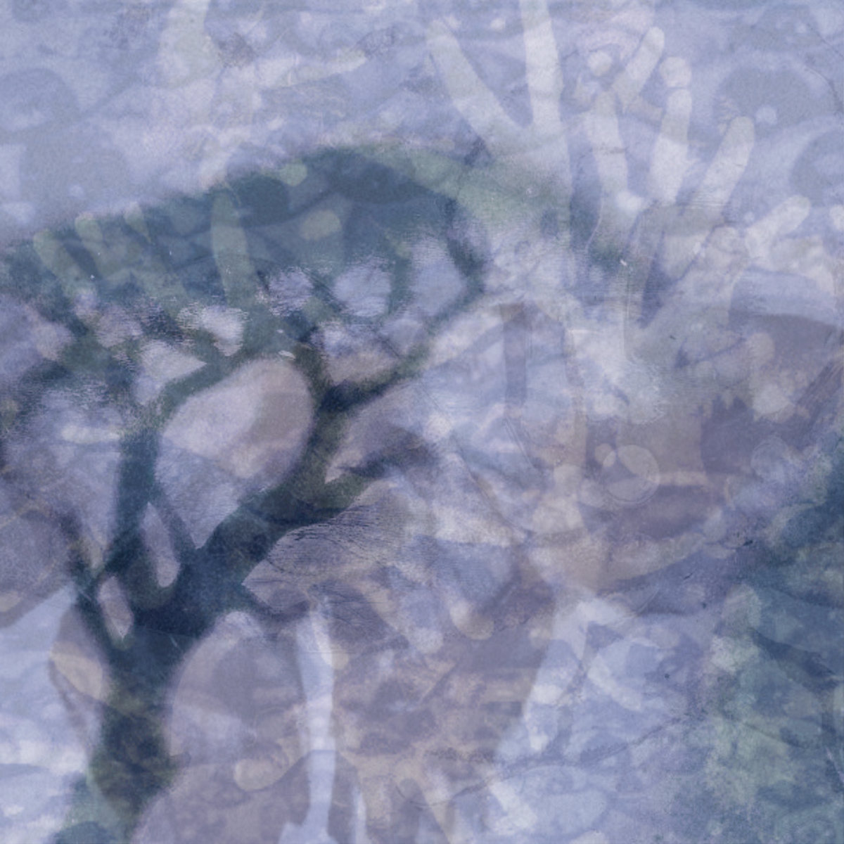 Image of Water
