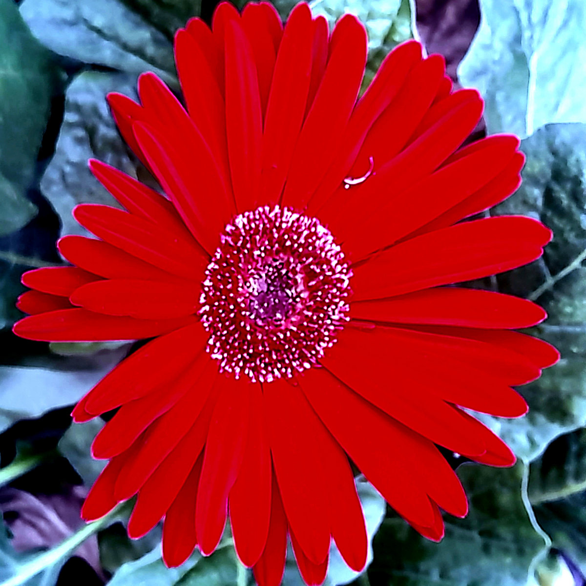 Don't Suffer Alone | Picture Storms