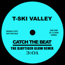 T Ski Valley - Catch the Beat (The Djaytiger Glow Remix) cover art