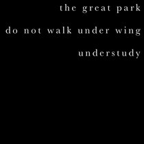 Do Not Walk Under Wing / Understudy cover art