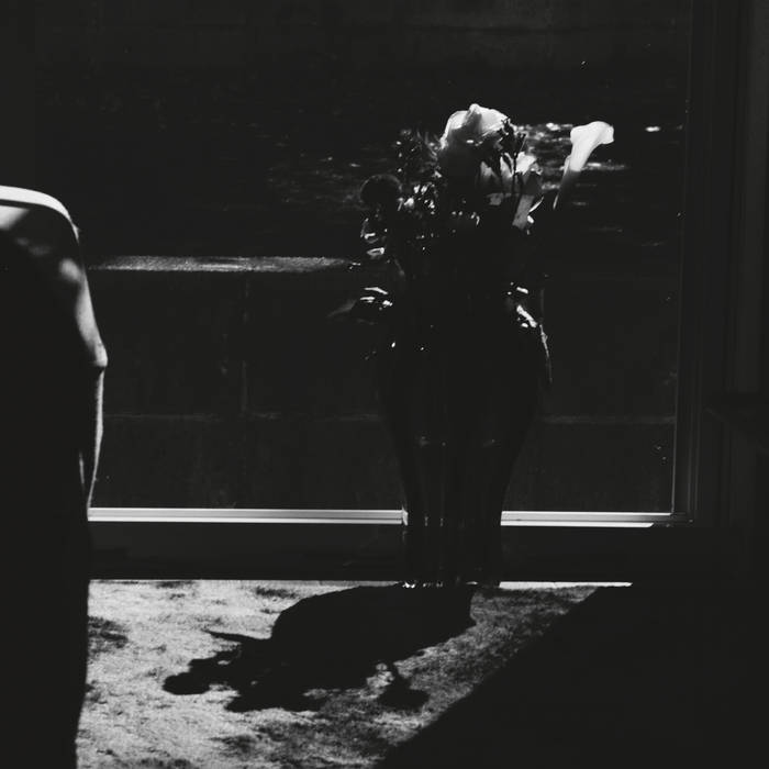 Murgullll | Petre Inspirescu | mulemusiq