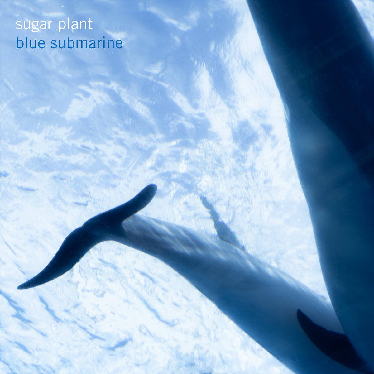 blue submarine | sugar plant | KiliKiliVilla