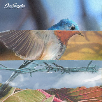 Music | Ours Samplus