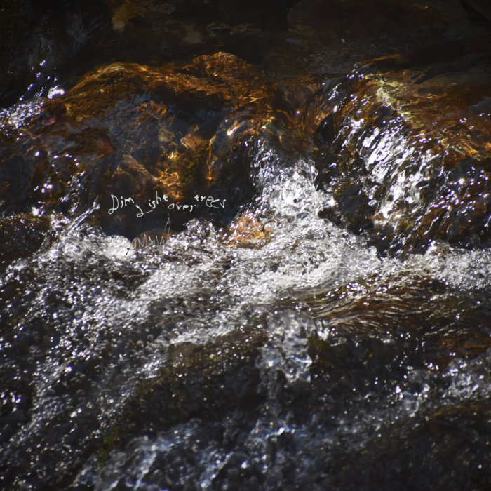 Amplitude Meditation: Medium Wave