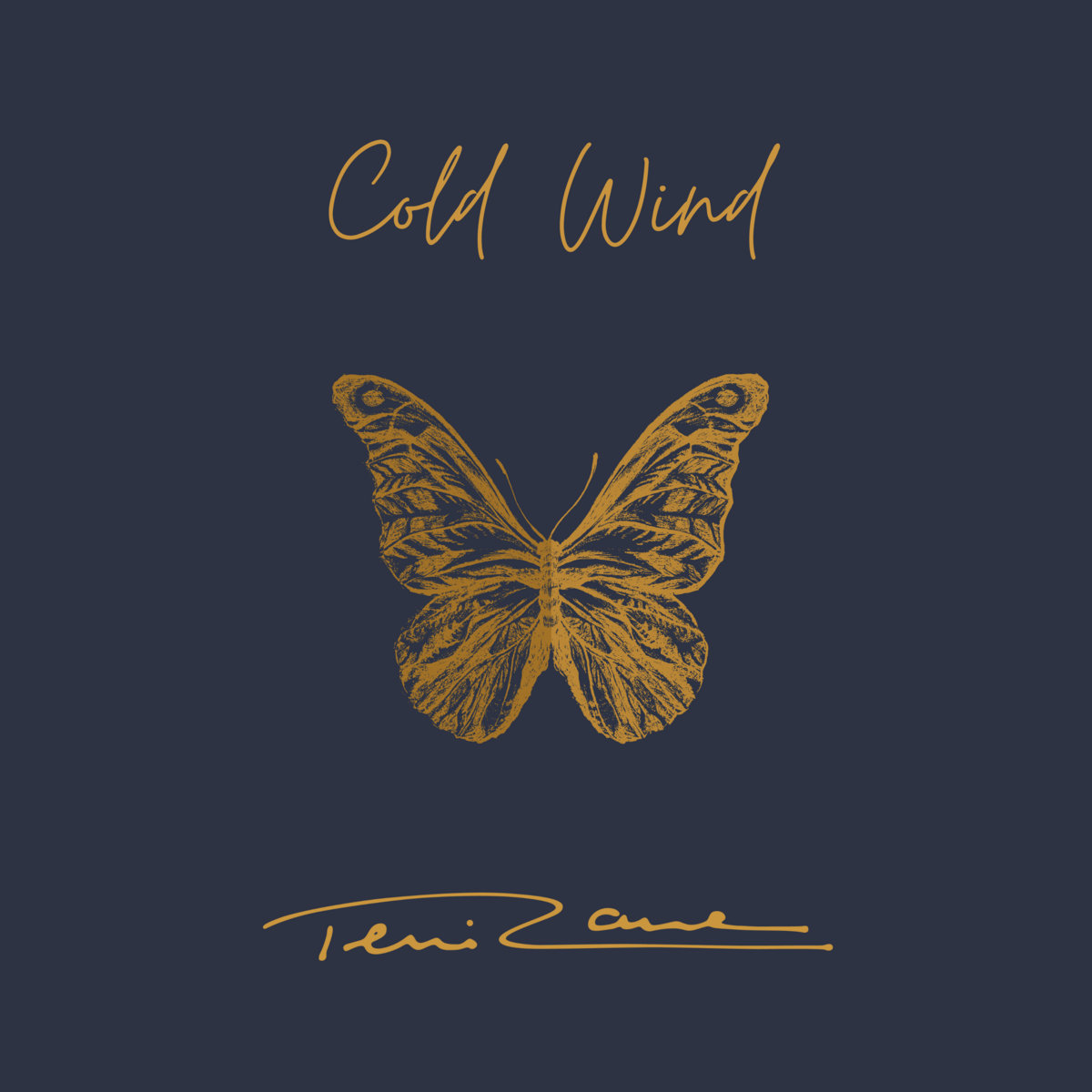 Cold Wind (Ghost)