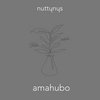 Amahubo