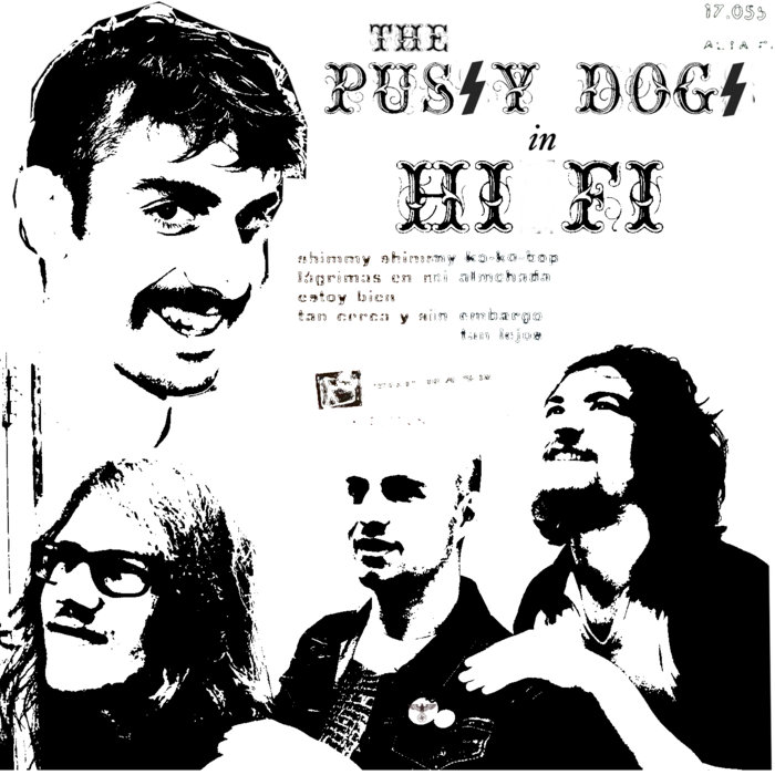 in HI-FI | the PUSSY DOGS
