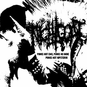 Punks Not Emo, Punks Not Indie, Punks Not Hipster!!!! (EP) cover