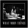 What Moon Things Cover Art