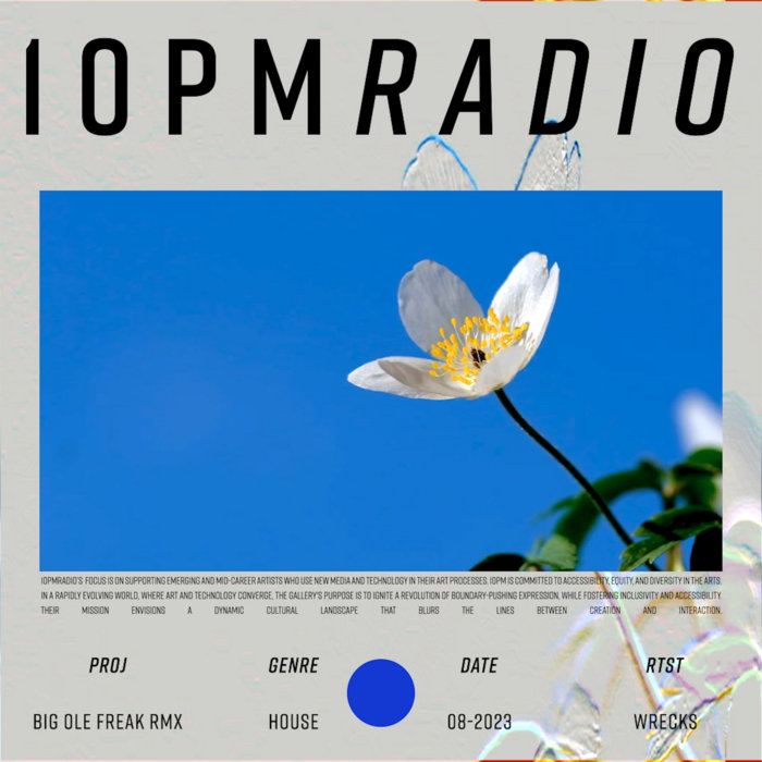 Funk Flex vol. 3 ProfessorWrecks