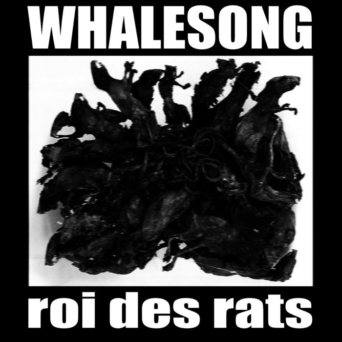 Roi des Rats (Promo version) Whalesong