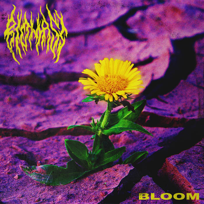 Bloom | BIOMASS