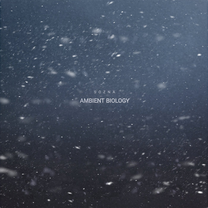Ambient Definition Biology Project – YVCGPD