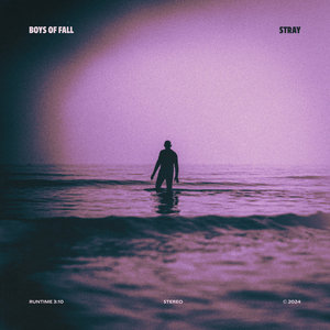 Stray cover