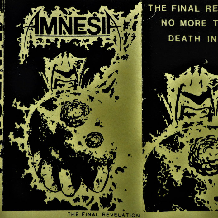 洋楽 Amnesia/ unknown entity Amnesia – Unknown Entity | Releases | Discogs