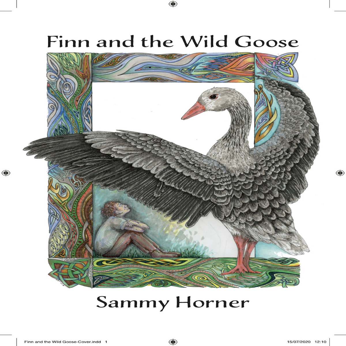 Finn And The Wild Goose Audio Book