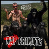 Rap Primate Cover Art
