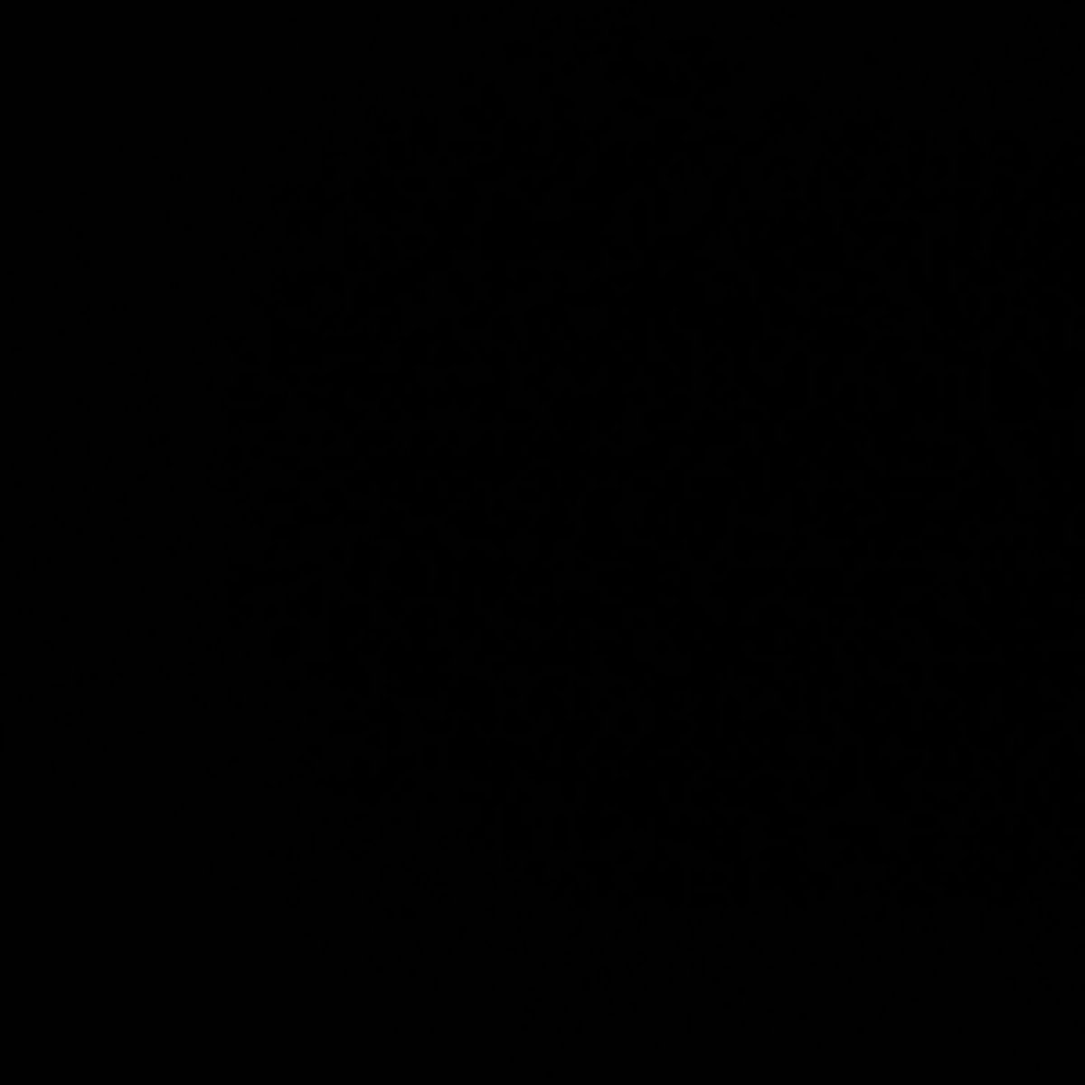 THE BLACK TAPE VillageMinded Music LLC. JustAli