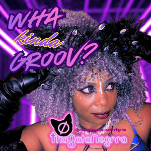 Wha Kinda Groov? cover
