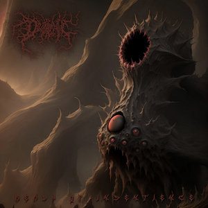 Realm of Insentience cover