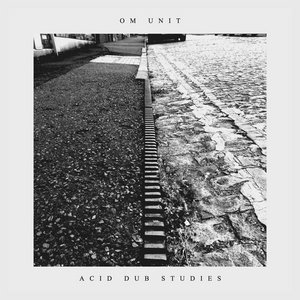 Acid Dub Studies (LP) cover