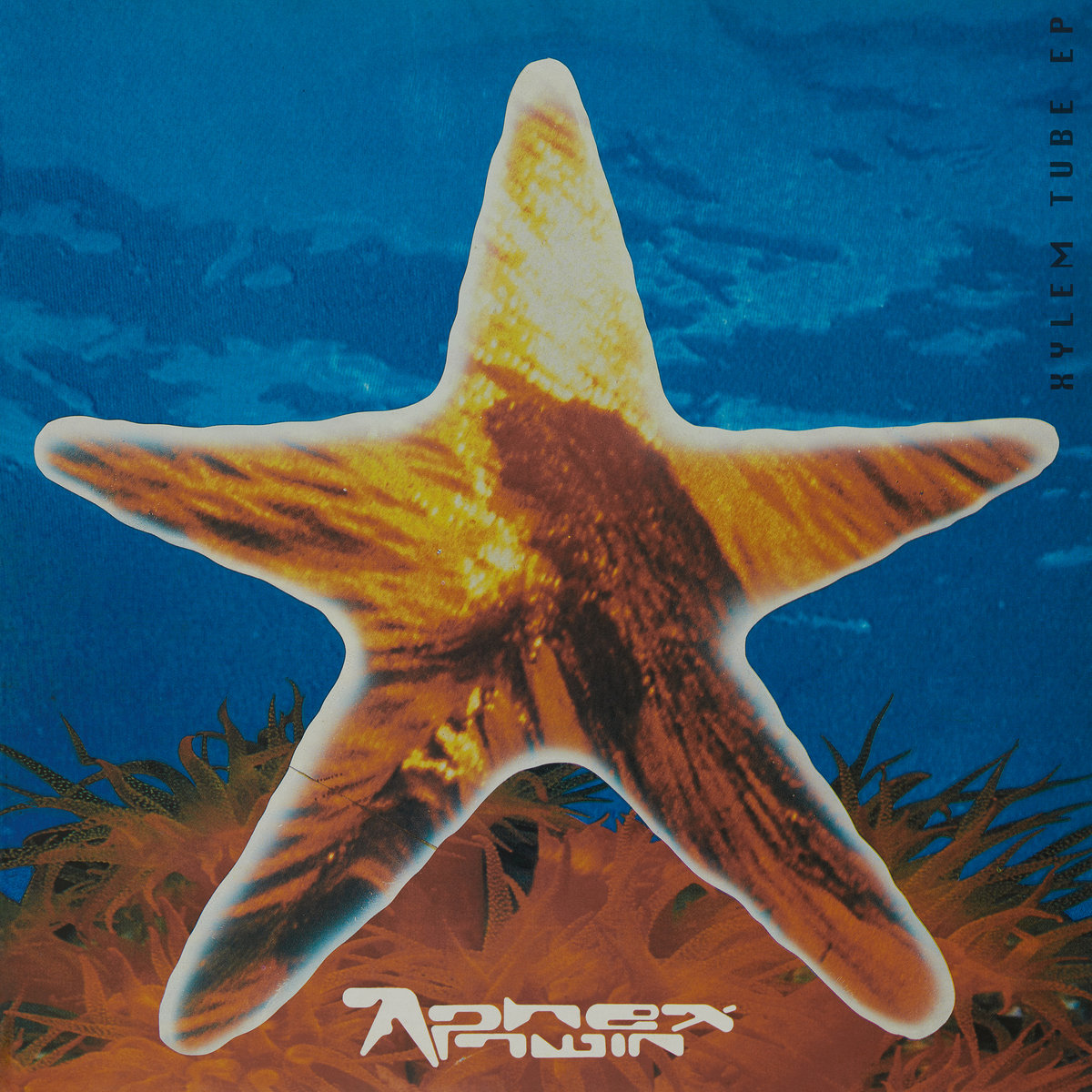 Xylem Tube EP (1992) | Aphex Twin | R&S Records