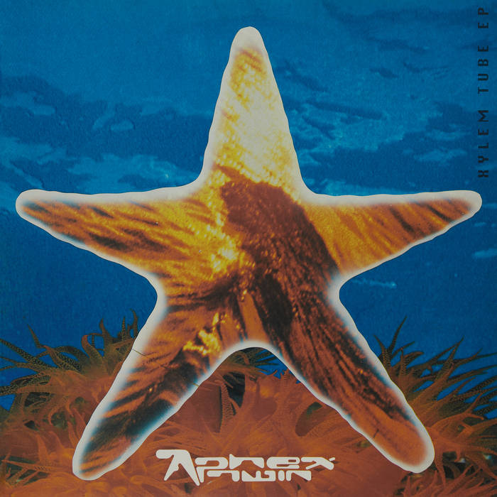 謎盤　aphex twin 1992 tapes レコード　レア 謎盤 aphex twin 1992 tapes レコード レア 謎盤 aphex twin