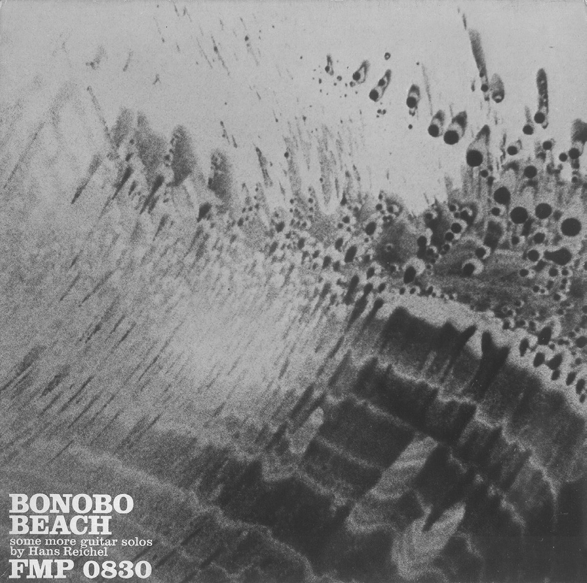 The Death of the Rare Bird Ymir & Bonobo Beach [LP versions 