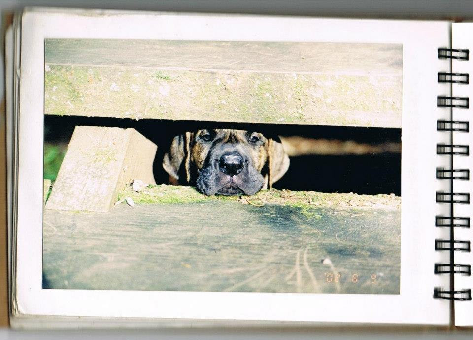 Merry Christmas Mr Lawrence Ryuichi Sakamoto Cover Withyouathome Realising Media