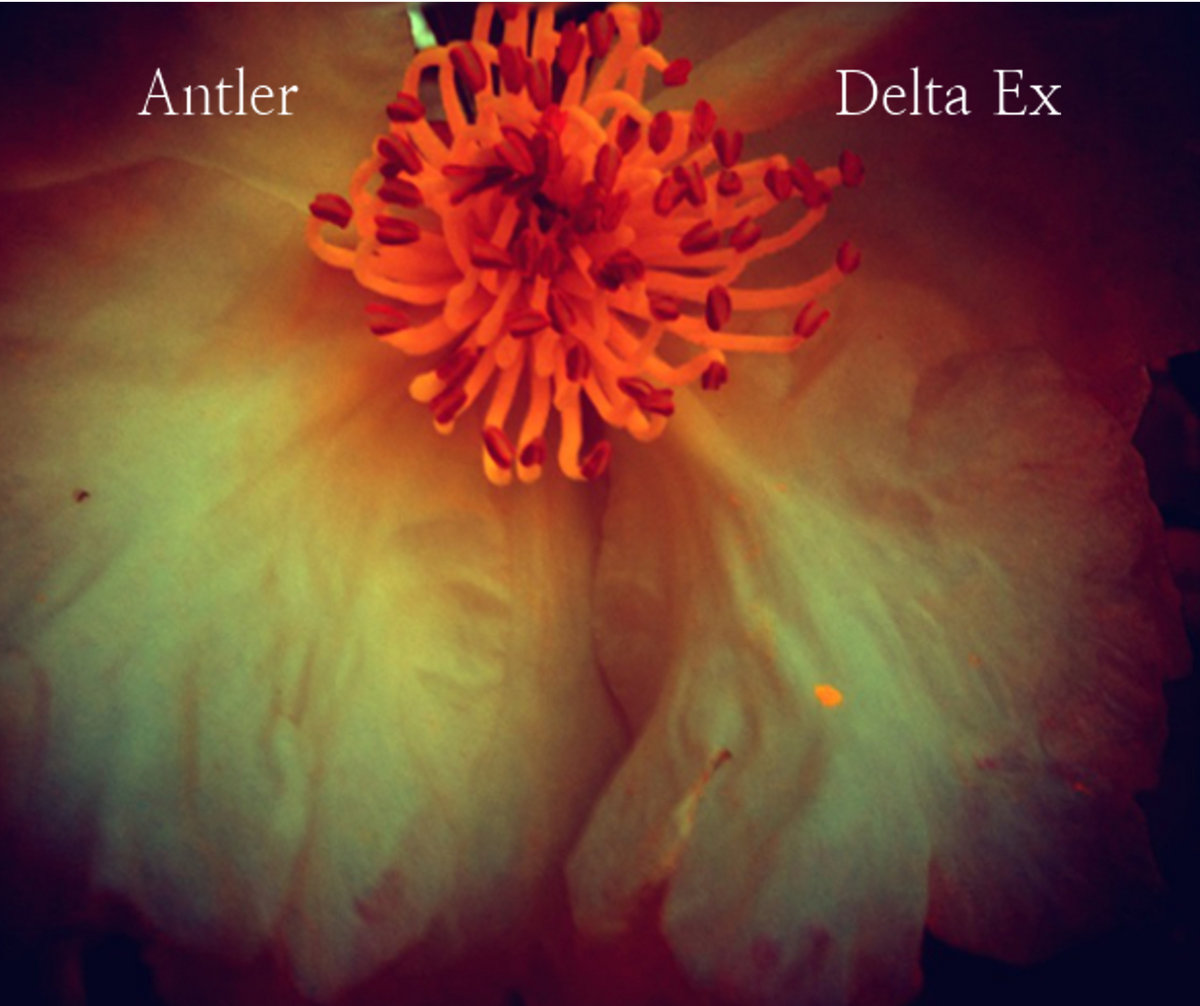 Antler's Delta Ex (Click on the image to listen to the album at Bandcamp)