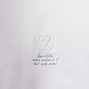 Foxes in Fiction — Ontario Sunshine pt. 3 (feat. Emily Yacina)